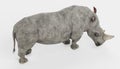 3D Render of White Rhinoceros