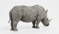 3D Render of White Rhinoceros