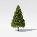 A realistic 3D rendered evergreen tree with dense green foliage and a sturdy trunk on a white background Royalty Free Stock Photo