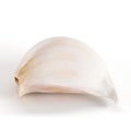 Realistic 3d rendering of a clove of garlic on white background