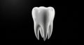 Realistic 3D Rendering of a Human Tooth on Black Background teeth dental Royalty Free Stock Photo