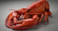A realistic 3D rendering of a lobster with vivid red-orange coloring, highlighting its