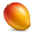 A realistic 3D rendering of a mango (Mangifera indica) with a smooth, glossy surface. Royalty Free Stock Photo