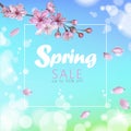 Realistic 3d spring sale script lettering web banner template. Color pink sakura cherry blossom flower blue sky Royalty Free Stock Photo