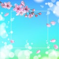 Realistic 3d spring sale script lettering web banner template. Color pink sakura cherry blossom flower blue sky Royalty Free Stock Photo