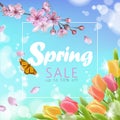 Realistic 3d spring sale script lettering web banner template. Color pink sakura cherry blossom tulip flower blue sky Royalty Free Stock Photo