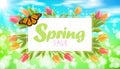 Realistic 3d spring sale script lettering web banner template. Color tulip flowers butterfly grass blue sky blue