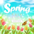 Realistic 3d spring sale script lettering web banner template. Color tulip flowers butterfly grass blue sky blue Royalty Free Stock Photo
