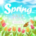 Realistic 3d spring sale script lettering web banner template. Color tulip flowers butterfly grass blue sky blue