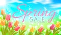 Realistic 3d spring sale script lettering web banner template. Color tulip flowers grass blue sky blue background flyer