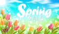 Realistic 3d spring sale script lettering web banner template. Color tulip flowers grass blue sky blue background flyer Royalty Free Stock Photo