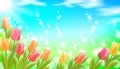 Realistic 3d spring web banner template. Color tulip flowers grass blue sky blue background flyer promotional square Royalty Free Stock Photo