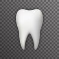 Realistic 3d Tooth Poster Transperent Stomatology Icon Template Background Mock Up Design Vector Illustration