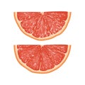 Realistic 3d Vector Illustration of half sliced grapefruit. Col