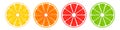 Realistic 3d Vector Illustration Set of sliced orange, grapefruit, lemon, and lime. Colourful citrus background. EPS 10 Royalty Free Stock Photo