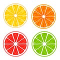 Realistic 3d Vector Illustration Set of sliced orange, grapefruit, lemon, and lime. Colourful citrus background. EPS 10 Royalty Free Stock Photo