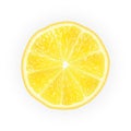 Realistic 3d Vector Illustration of sliced yellow lemon fruit. C