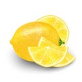 Realistic 3d Vector Illustration of sliced yellow lemon fruit. C