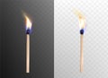 Realistic whole burning matchsticks with flame fire