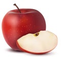 Realistic 3d vector ripe red apple with a texture on a white background with a juicy slice. Royalty Free Stock Photo