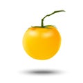 Realistic 3d yellow tomato isolated on white background. Good for packaging or web design. Royalty Free Stock Photo