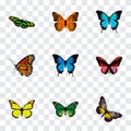 Realistic Danaus Plexippus, Birdwing, Archippus And Other Vector Elements. Set Of Moth Realistic Symbols Also Includes