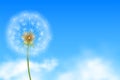 realistic dandelion flower seeds in blue background with clouds vector