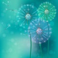 Realistic dandelion with flying buds