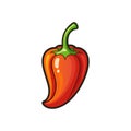 Realistic Datil Pepper Illustration with Bright Qualities Royalty Free Stock Photo