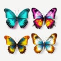 Realistic Decorative Colorful Butterflies On White Background Royalty Free Stock Photo