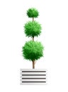 Decorative Bush Illustration