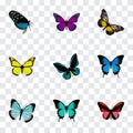 Realistic Demophoon, Copper, Purple Monarch And Other Vector Elements. Set Of Beauty Realistic Symbols Also Includes