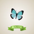 Realistic Demophoon Element. Vector Illustration Of Realistic Lexias Isolated On Clean Background. Can Be Used As Blue