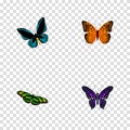 Realistic Demophoon, Green Peacock, Polyommatus Icarus And Other Vector Elements. Set Of Butterfly Realistic Symbols