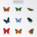 Realistic Demophoon, Monarch, Green Peacock And Other Vector Elements. Set Of Butterfly Realistic Symbols Also Includes