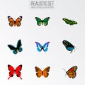 Realistic Demophoon, Monarch, Green Peacock And Other Vector Elements. Set Of Butterfly Realistic Symbols Also Includes Royalty Free Stock Photo