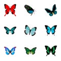 Realistic Demophoon, Pipevine, Sangaris And Other Vector Elements. Set Of Butterfly Realistic Symbols Also Includes