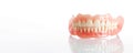 Realistic Dental Dentures - Complete Teeth Set, Oral Hygiene, Prosthodontic Model, Health Education, Dentistry Aid Royalty Free Stock Photo