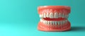 A realistic dental implant model displays a full set of teeth, emphasizing natural aesthetics and functionality in a Royalty Free Stock Photo
