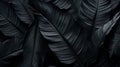 Realistic Detailed 3d Black Banana Leaf Seamless Pattern. Generative AI