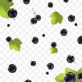 Realistic Detailed 3d Black Currant Berries Seamless Pattern Background. Vector
