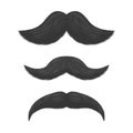 Realistic Detailed 3d Black Fake Mustaches. Vector