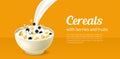 Realistic Detailed 3d Cereals Oatmeal Breakfast in White Ceramic Bowl Horizontal Placard Banner Card. Vector Royalty Free Stock Photo