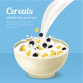 Realistic Detailed 3d Cereals Oatmeal Breakfast in White Ceramic Bowl Placard Banner Card. Vector Royalty Free Stock Photo