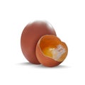 Realistic Detailed 3d Chicken Egg and Cracked Shell. Vector Royalty Free Stock Photo