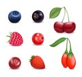 Realistic Detailed 3d Different Berries Set. Vector Royalty Free Stock Photo
