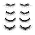 Realistic Detailed 3d Feminine Black Lashes Set. Vector