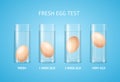 Realistic Detailed 3d Fresh Egg Test Concept. Vector Royalty Free Stock Photo