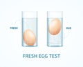 Realistic Detailed 3d Fresh Egg Test Concept. Vector Royalty Free Stock Photo