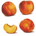 Realistic Detailed 3d Fresh Peach Set. Vector Royalty Free Stock Photo